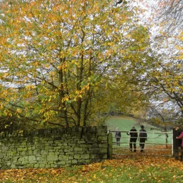 Autumn Walks in Bingley and Surroundings