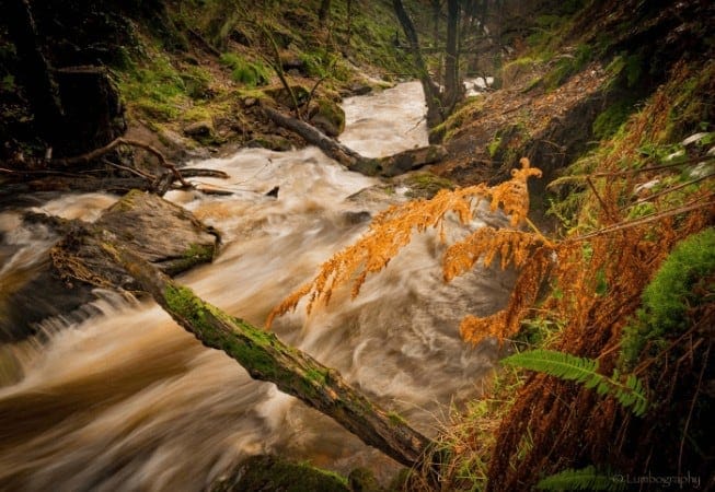 Fast flowing of Loadpit Beck in Shipley Glen