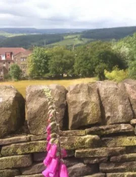 Flowers Above Lady Lane in Bingley