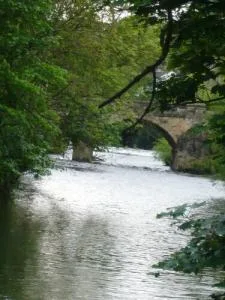 River Aire in Bingley with Ireland Bridge