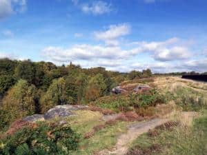 Shipley Glen, Baildon Moor by Cedric Farineau