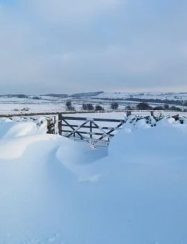 Gate in snow near Eldwick