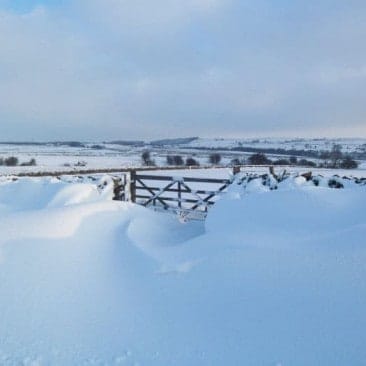 Gate in snow near Eldwick