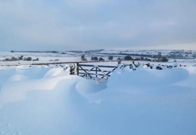 Snow covered field and gate above Eldwick