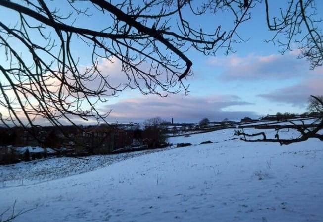 View of a field behind Prince of Wales Park covered in snow