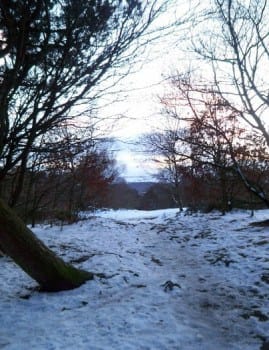 Snow in Prince of Wales Park, Bingley