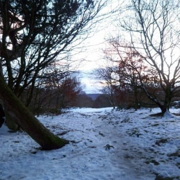 Snow in Prince of Wales Park, Bingley