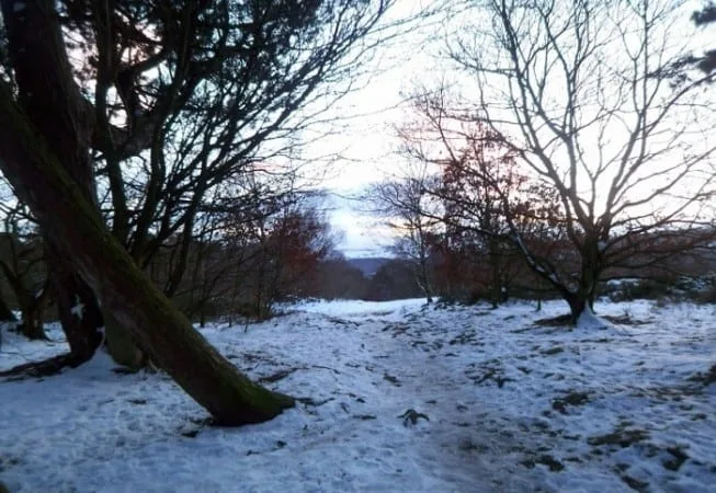 Top of Prince of Wales Park covered in snow