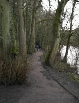 Riverside Footpath in Bingley along River Aire