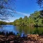 View of Coppice Pond in Bingley St Ives