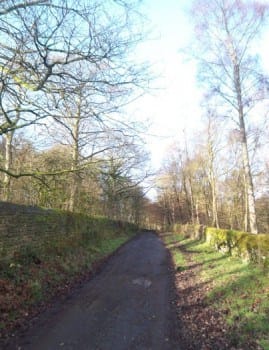 Altar Lane in Bingley St Ives Estate