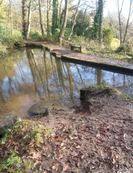 Baxter's Pond in St Ives Estate, Bingley