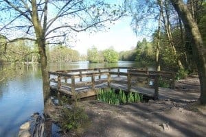 Coppice Pond in Bingley St Ives