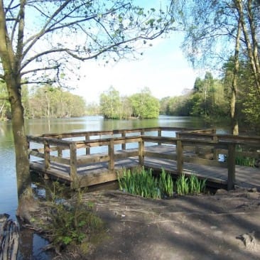 Coppice Pond in Bingley St Ives