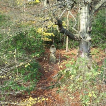 Carved Wooden Monk in St Ives Estate, Bingley