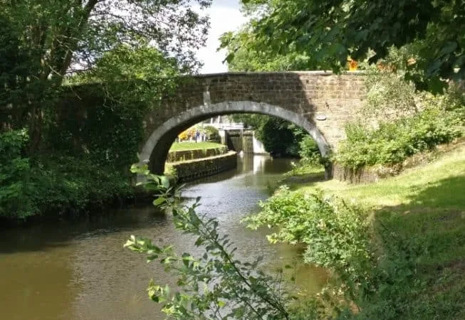 View of Dowley Gap Bridge with canal locks in the background