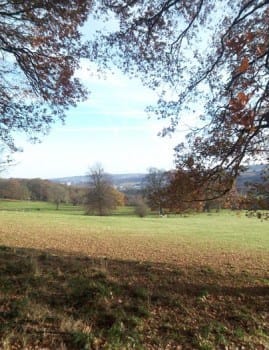 Meadows below Bingley St Ives Estate