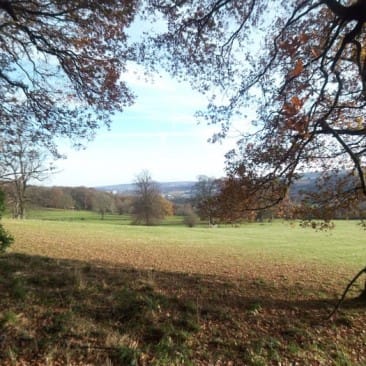 Meadows below Bingley St Ives Estate