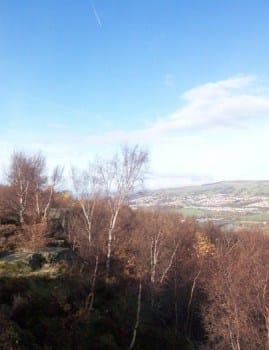 View of Airedale Valley above Druid's Altar
