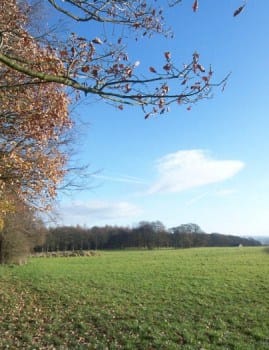 View of path in Bingley St Ives estate