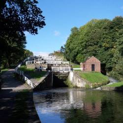 Bingley Five Rise Locks