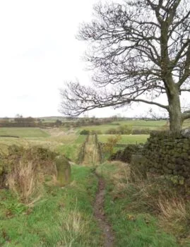 Tewitt Lane in Eldwick near Bingley