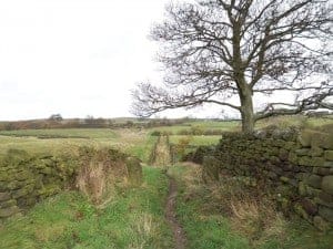 Tewitt Lane in Eldwick near Bingley
