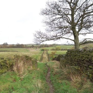 Tewitt Lane in Eldwick near Bingley