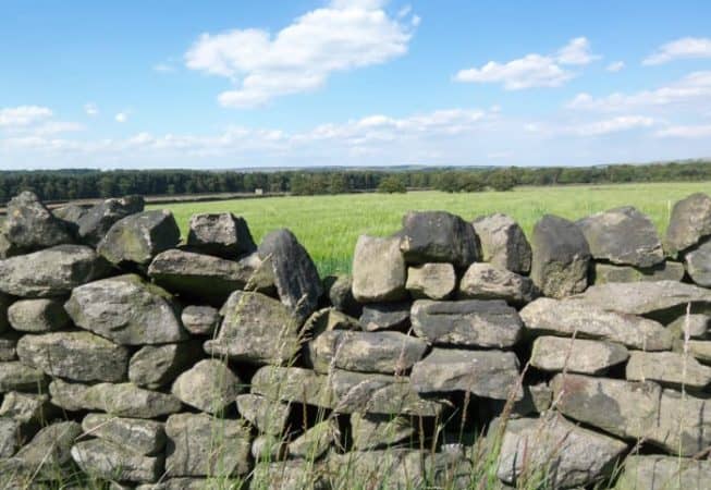 View of Black Hills from Banktop in Harden