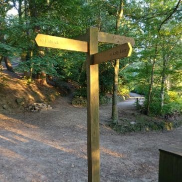 Fossil & Butterfly Walks at Prince of Wales Park