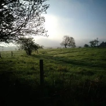 Dew in some Yorkshire meadows