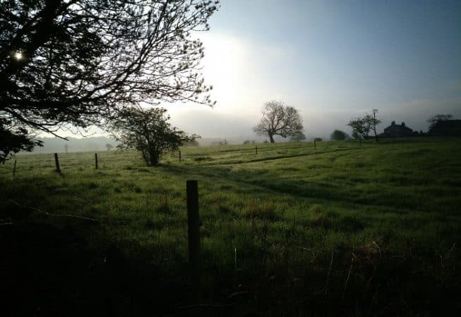 Meadows covered in dew near Harden in West Yorkshire