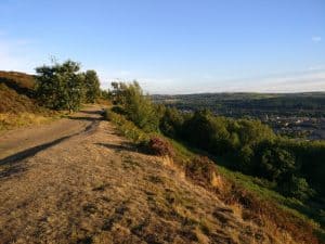 Moorland on Gilstead Crag