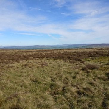 Ilkley Moor