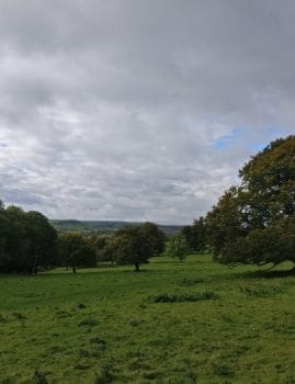 Low Park Meadows in St Ives