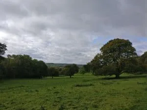Low Park Meadows in St Ives