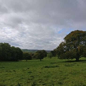 Low Park Meadows in St Ives