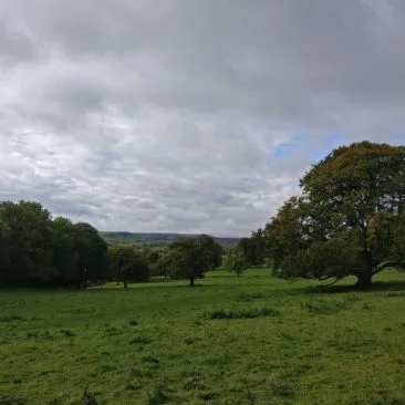 Low Park Meadows in St Ives