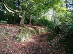 Pathway in St Ives Estate