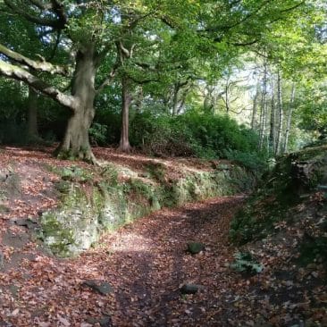 Pathway in St Ives Estate