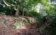Pathway in St Ives Estate