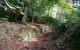 Pathway in St Ives Estate