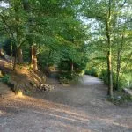 Prince of Wales Park paths