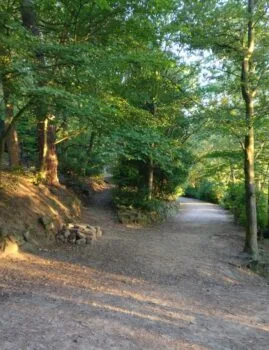 Prince of Wales Park paths
