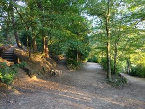 Prince of Wales Park paths