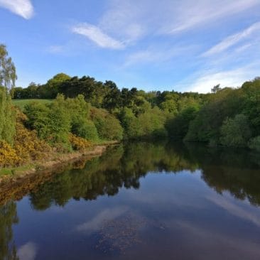 Sunnydale Reservoir in East-Morton