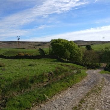 The Glen and Sunny Dale in East-Morton