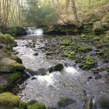 Up Stream of Goit Stock
