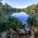 Coppice Pond in Bingley St Ives - East Side