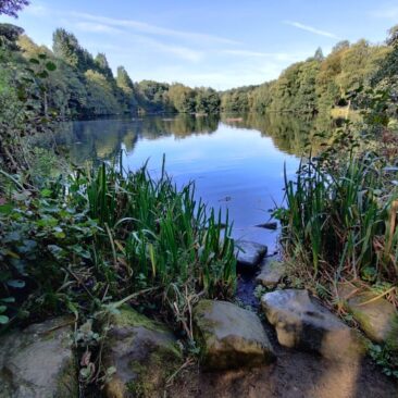 Coppice Pond East Side